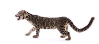 Clouded Leopard Collection Image, Figure 5, Total 9 Figures