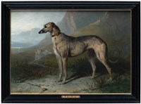 波瑞爾狗藏品圖，第2張