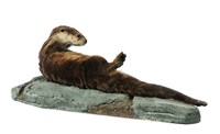 North American River Otter Collection Image, Figure 4, Total 4 Figures