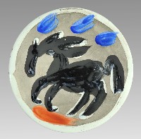 小馬的圖片