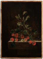 紅醋栗藏品圖，第1張