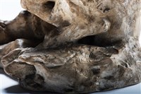 牛頭人米諾陶藏品圖，第24張