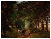 清理鄉道的圖片