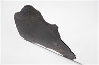 Iron Meteorite Collection Image, Figure 3, Total 4 Figures