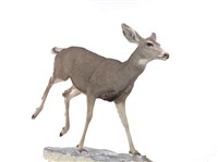 騾鹿藏品圖，第1張