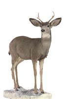 騾鹿藏品圖，第2張