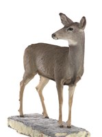 騾鹿藏品圖，第2張