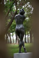 夏娃藏品圖，第8張