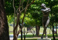 夏娃藏品圖，第11張