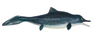 Mixosaurus (model) Collection Image, Figure 4, Total 4 Figures