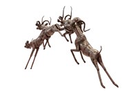 跳躍的飛羚藏品圖，第5張