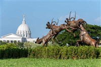 跳躍的飛羚藏品圖，第6張