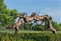 跳躍的飛羚藏品圖，第8張