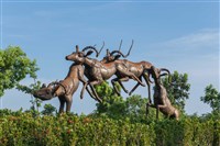 跳躍的飛羚藏品圖，第9張