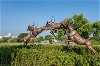 跳躍的飛羚藏品圖，第12張