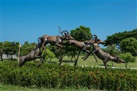 跳躍的飛羚藏品圖，第13張