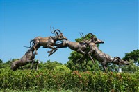 跳躍的飛羚藏品圖，第14張