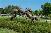 跳躍的飛羚藏品圖，第15張