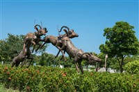 跳躍的飛羚藏品圖，第16張