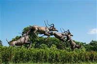 跳躍的飛羚藏品圖，第17張