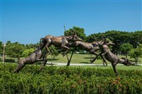 跳躍的飛羚藏品圖，第18張