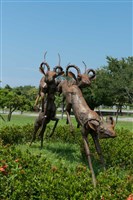 跳躍的飛羚藏品圖，第20張