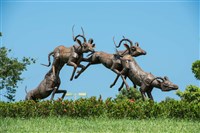 跳躍的飛羚藏品圖，第21張