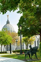 純真藏品圖，第7張