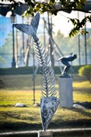 當日捕獲藏品圖，第1張