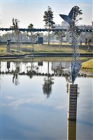 當日捕獲藏品圖，第4張