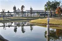 當日捕獲藏品圖，第5張