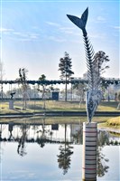 當日捕獲藏品圖，第7張