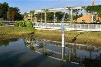 當日捕獲藏品圖，第10張