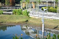 當日捕獲藏品圖，第11張