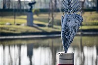 當日捕獲藏品圖，第12張