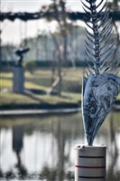 當日捕獲藏品圖，第13張