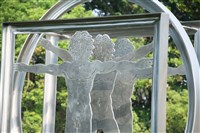 維特魯威人藏品圖，第5張