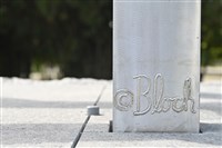 維特魯威人藏品圖，第9張