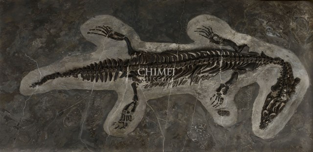 幻龍藏品圖，第1張