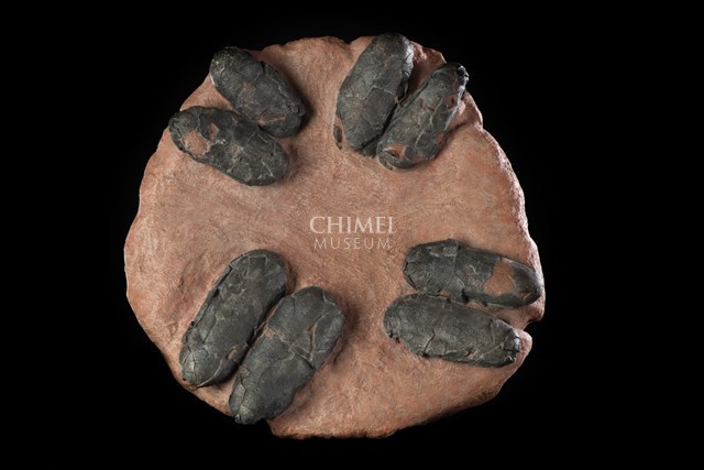 Oviraptor Egg Clutch (replica) Collection Image, Figure 1, Total 2 Figures
