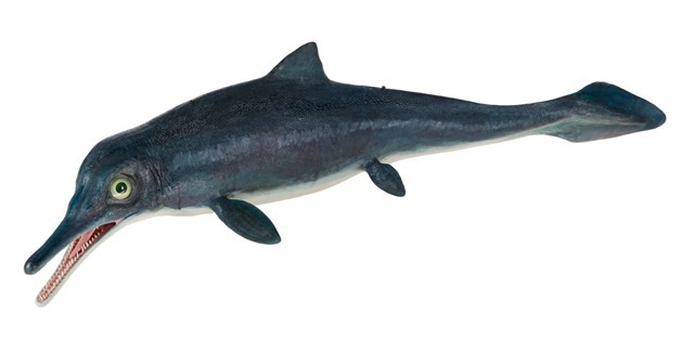 Mixosaurus (model) Collection Image, Figure 3, Total 4 Figures