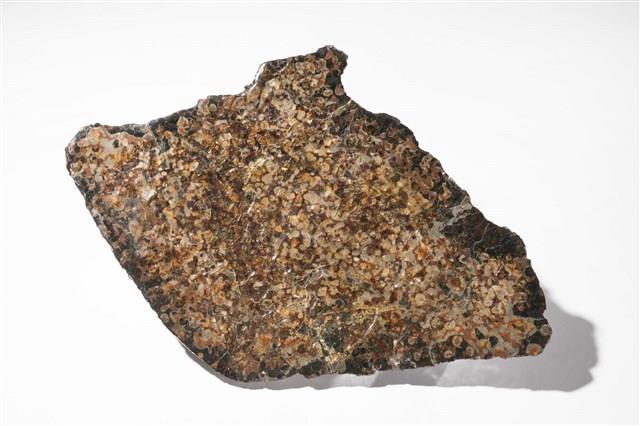 石質隕石藏品圖，第1張