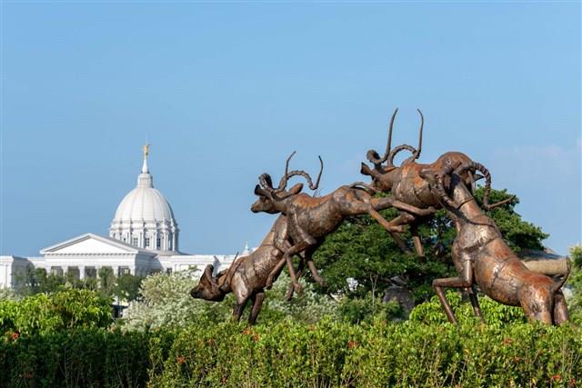 跳躍的飛羚藏品圖，第7張