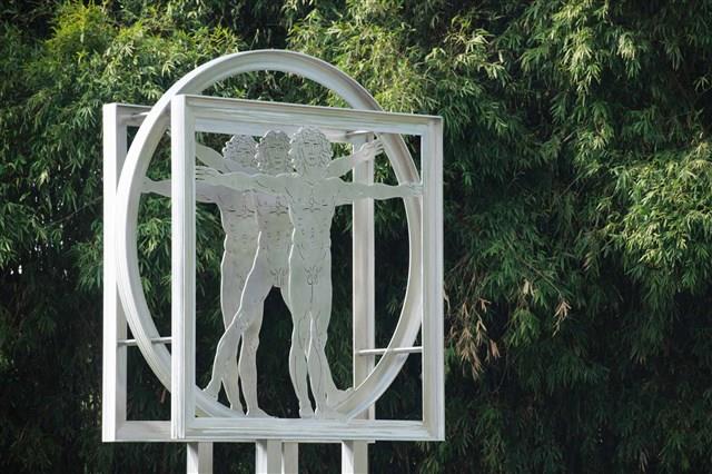 維特魯威人藏品圖，第7張