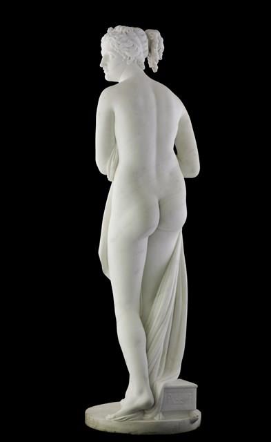 Venus Collection Image, Figure 6, Total 12 Figures