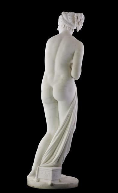 Venus Collection Image, Figure 7, Total 12 Figures