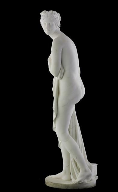 Venus Collection Image, Figure 5, Total 12 Figures