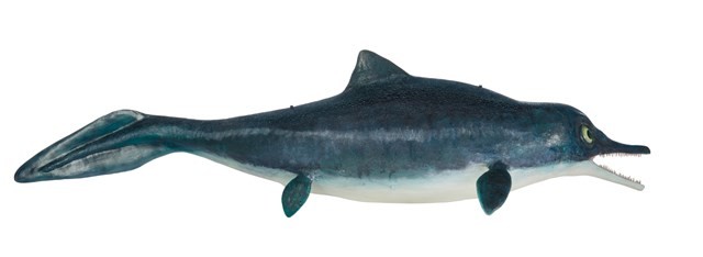 Mixosaurus (model) Collection Image, Figure 4, Total 4 Figures
