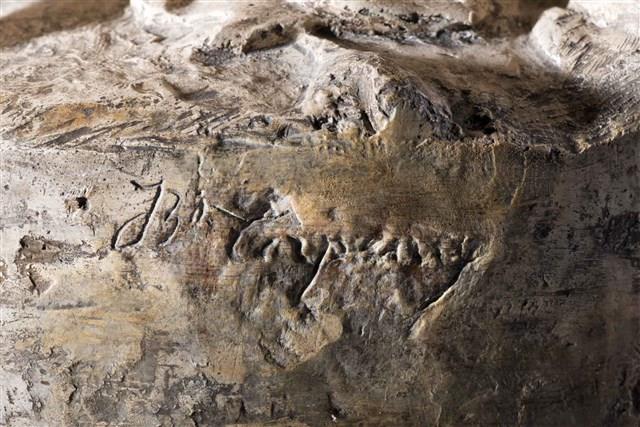 舞蹈精靈藏品圖，第9張