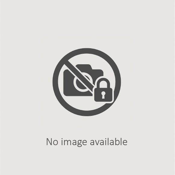 小女孩與老鼠藏品圖，第1張